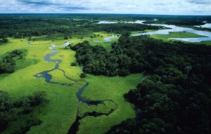 Amazzonia(c) WWF-Canon_ Michel ROGGOmedia