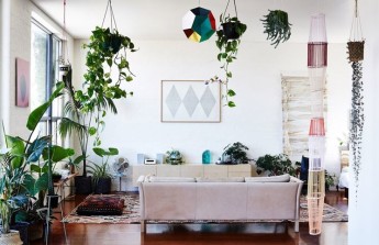 piante-appartamento